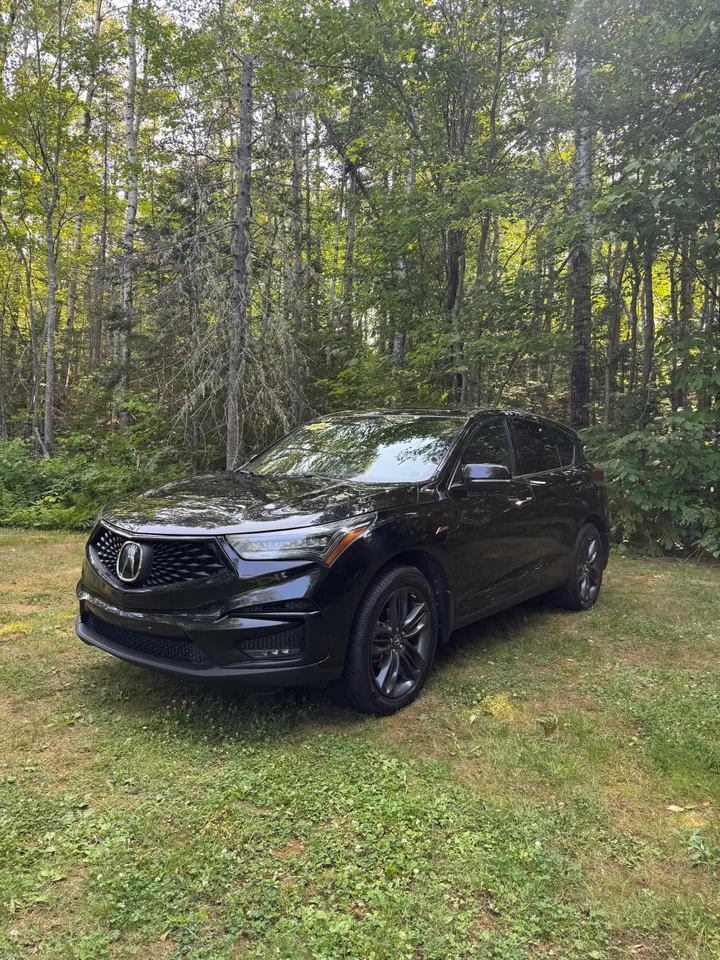 2020 Acura RDX Aspec Image
