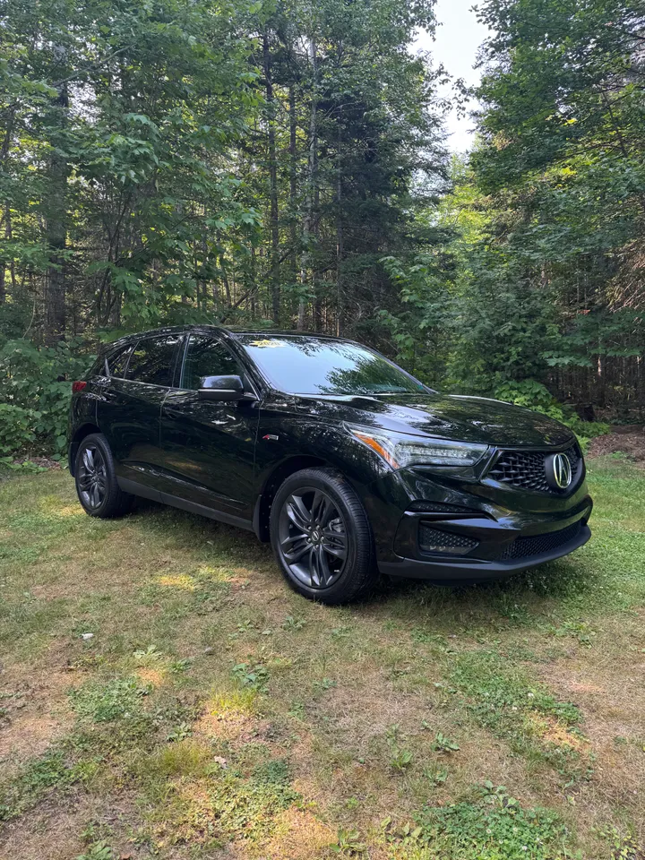 2020 Acura RDX Aspec Image