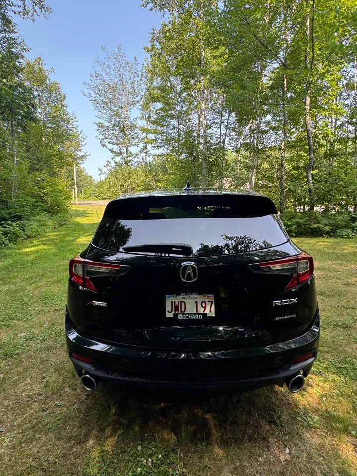 2020 Acura RDX Aspec Image