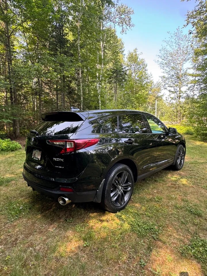 2020 Acura RDX Aspec Image