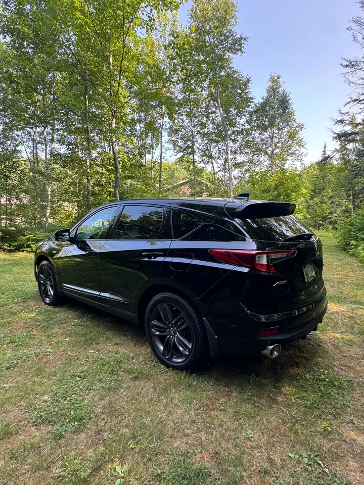 2020 Acura RDX Aspec Image