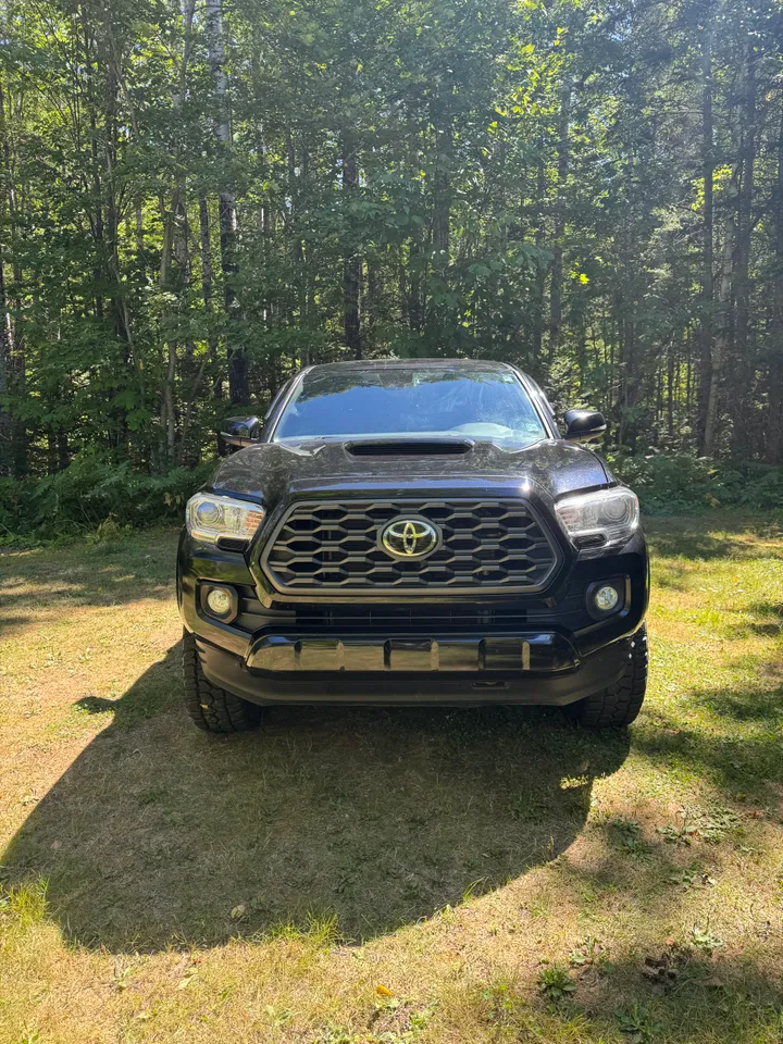 2020 Toyota Tacoma TRD Sport Image