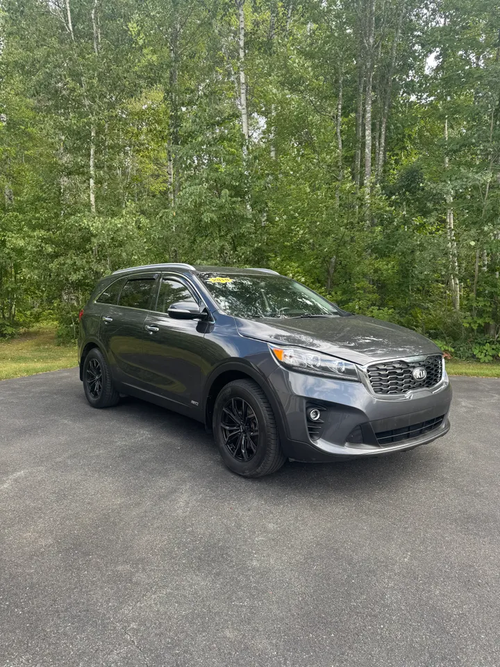 2019 Kia Sorento Lx V6 Image