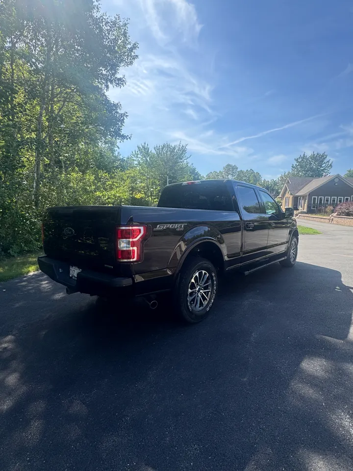 2019 Ford F150 Sport Image