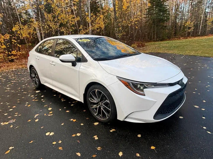 202 Toyota Corolla LE Image