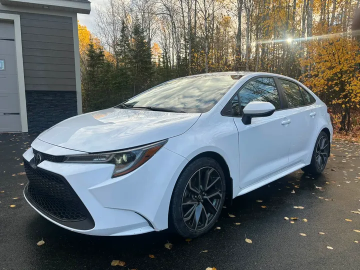 202 Toyota Corolla LE Image