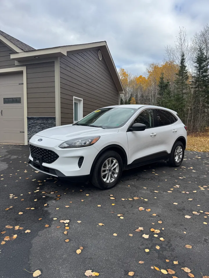 2022 Ford Escape SE AWD Image