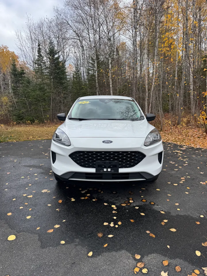 2022 Ford Escape SE AWD Image