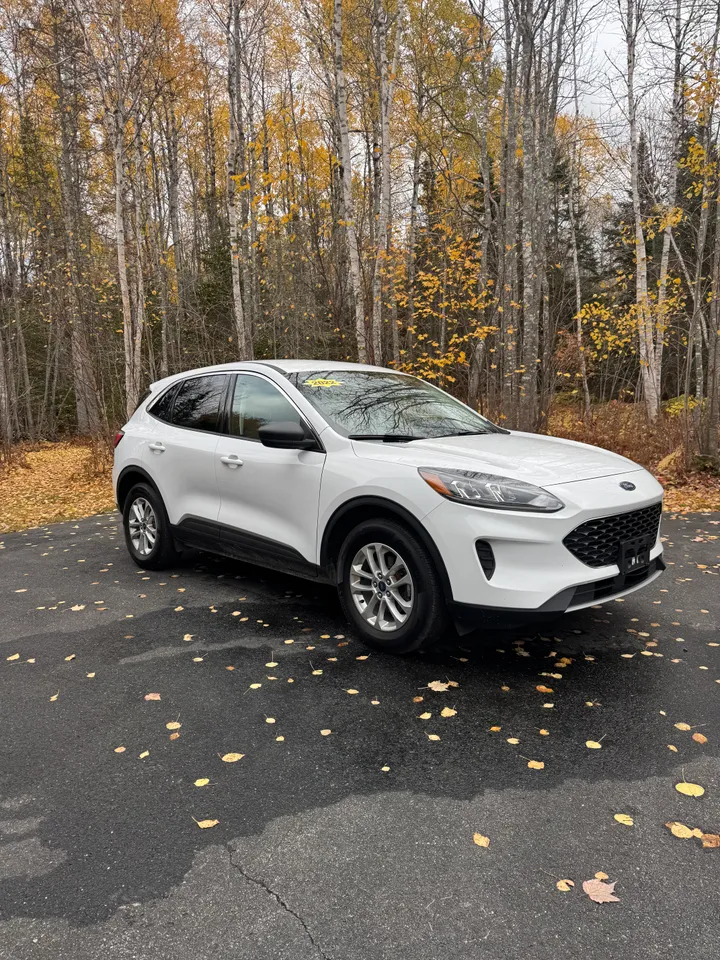 2022 Ford Escape SE AWD Image