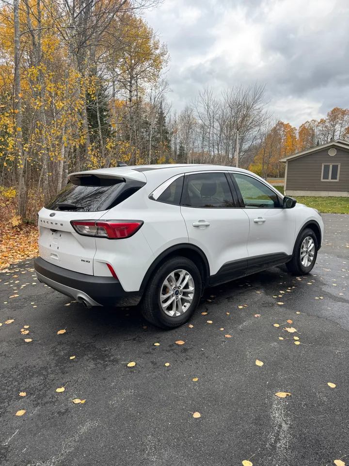 2022 Ford Escape SE AWD Image