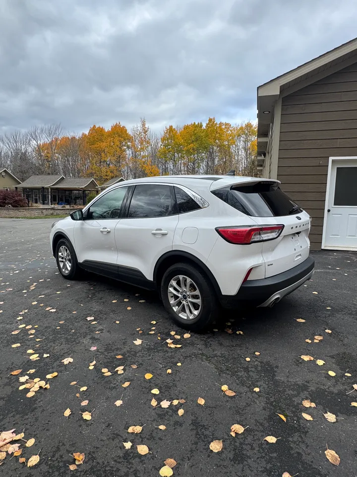 2022 Ford Escape SE AWD Image