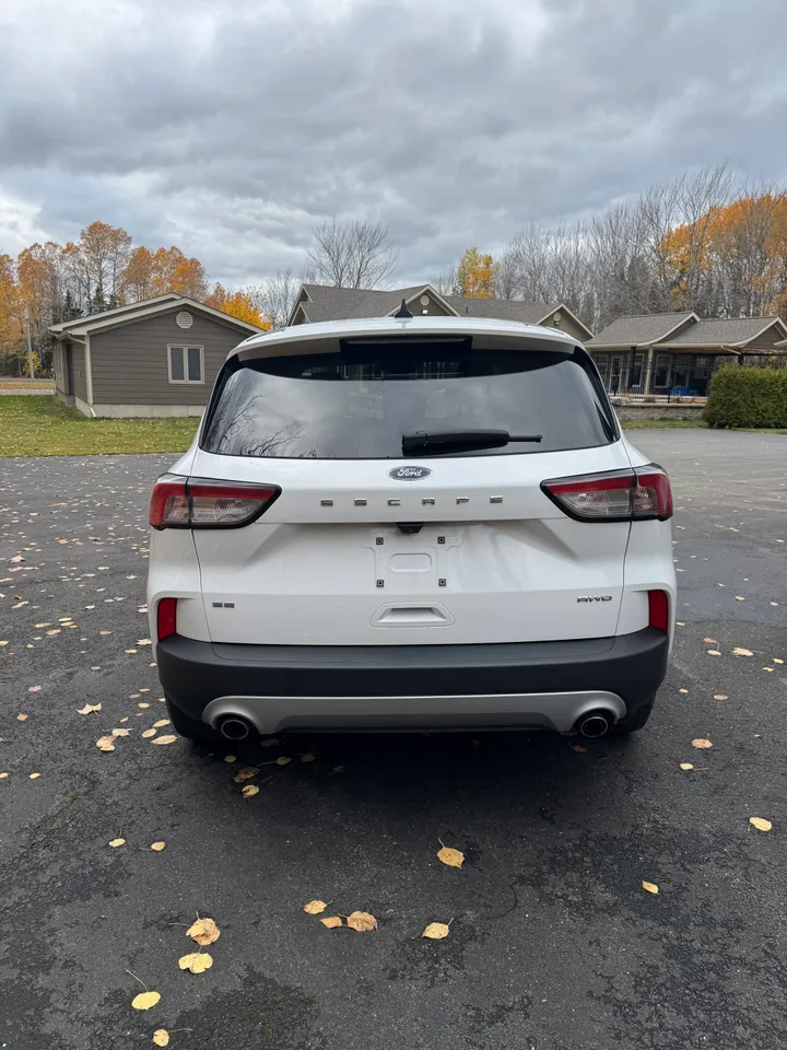 2022 Ford Escape SE AWD Image