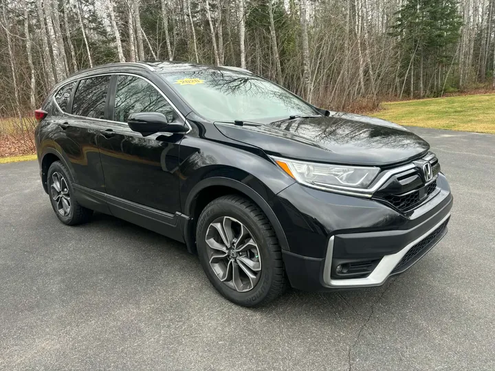 2020 Honda Crv Ex-L Image