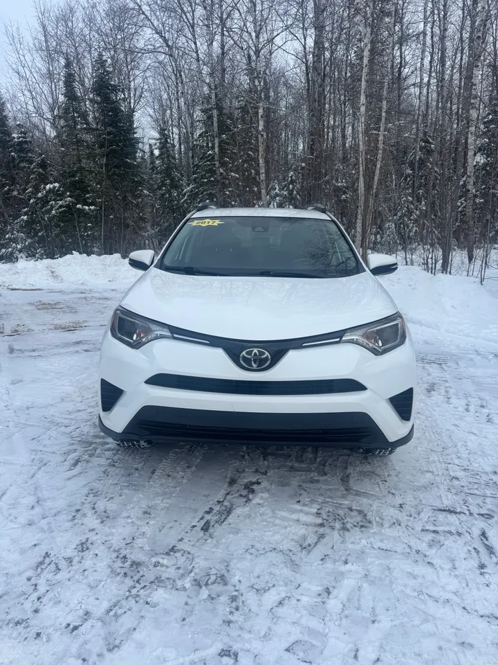 2017 Toyota Rav 4 LE Image