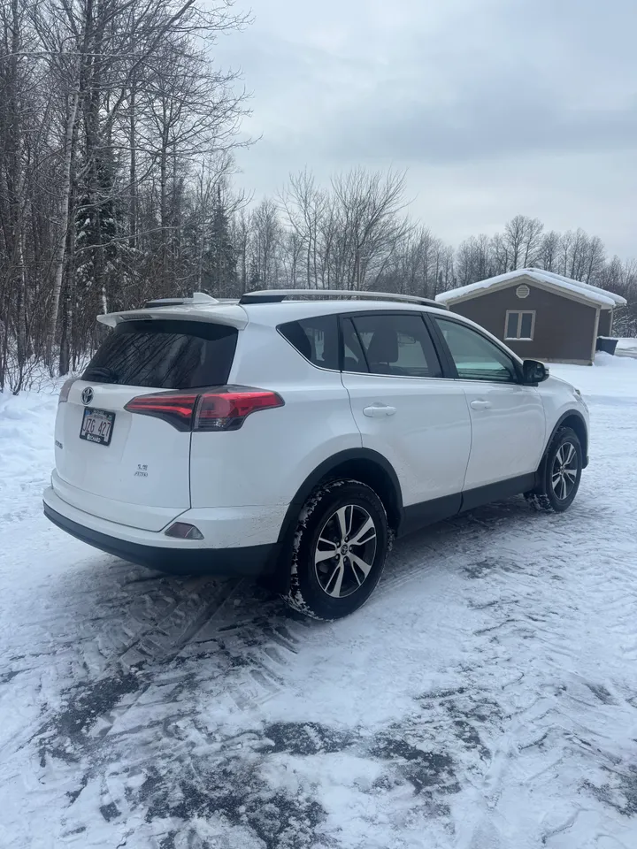 2017 Toyota Rav 4 LE Image