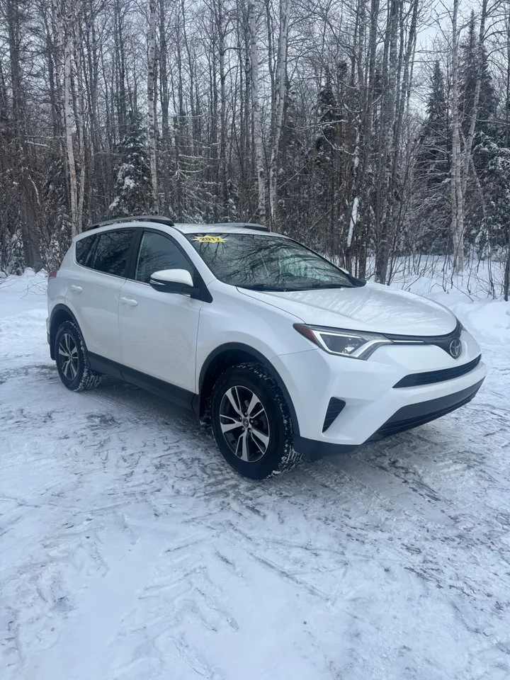 2017 Toyota Rav 4 LE Image