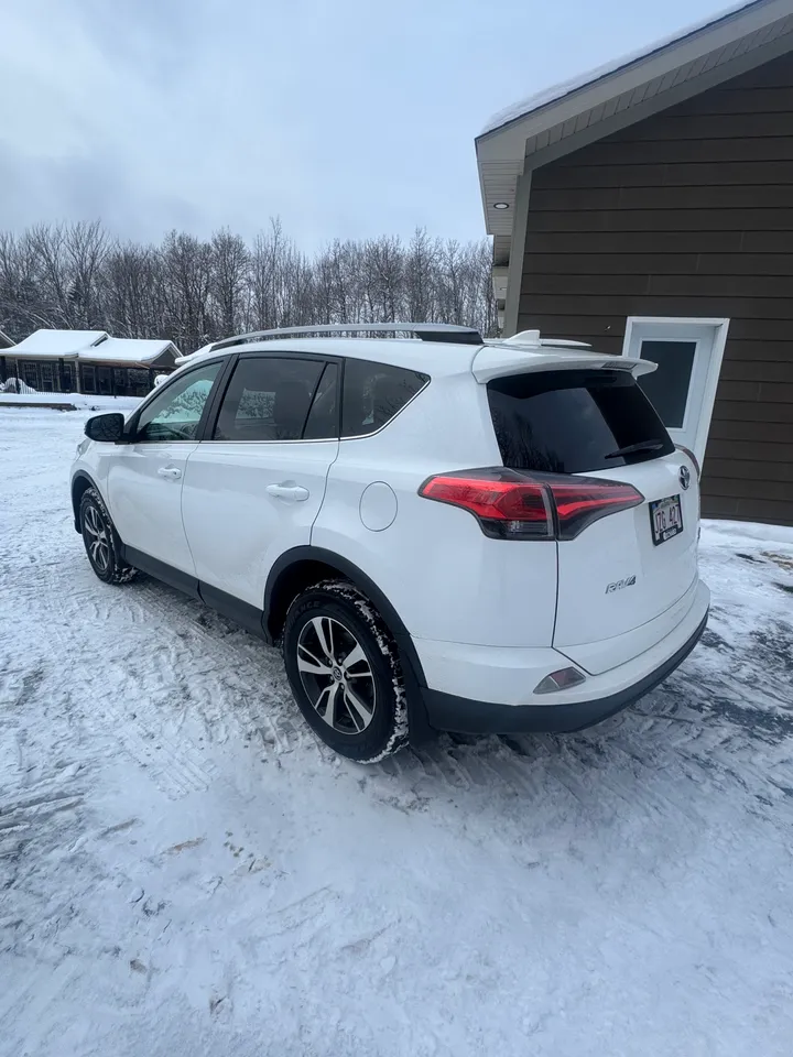 2017 Toyota Rav 4 LE Image