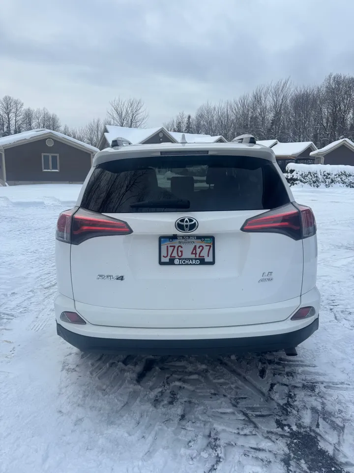 2017 Toyota Rav 4 LE Image