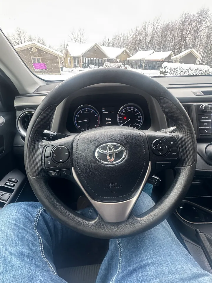 2017 Toyota Rav 4 LE Image