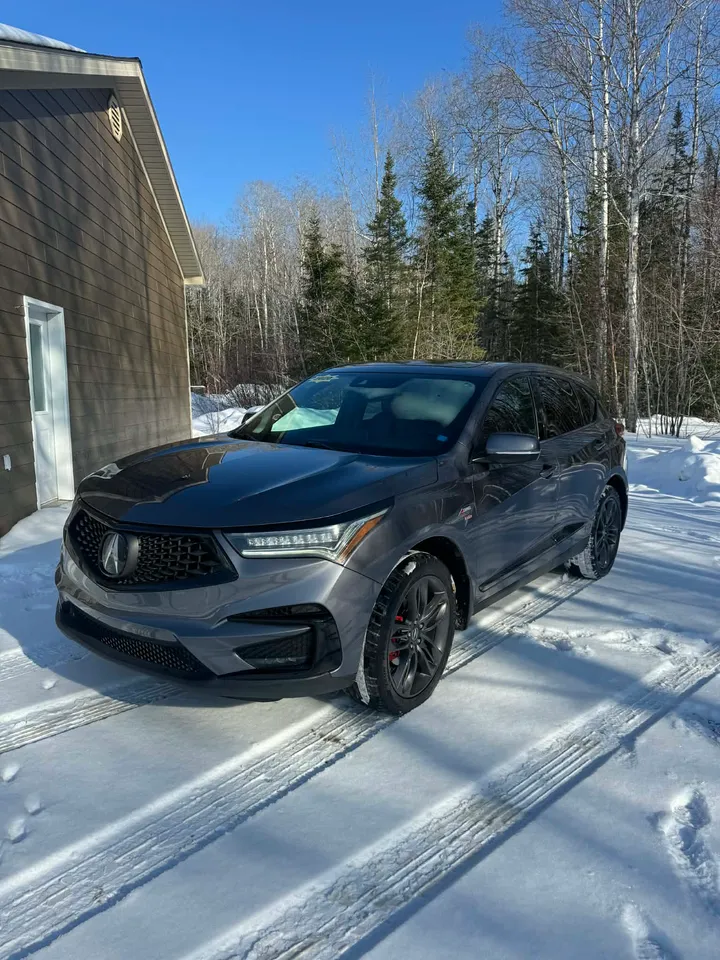 2020 Acura Rdx Aspec Image
