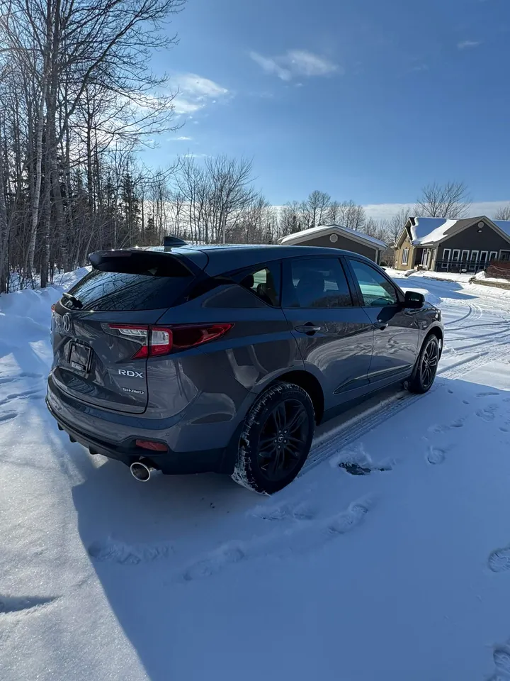 2020 Acura Rdx Aspec Image