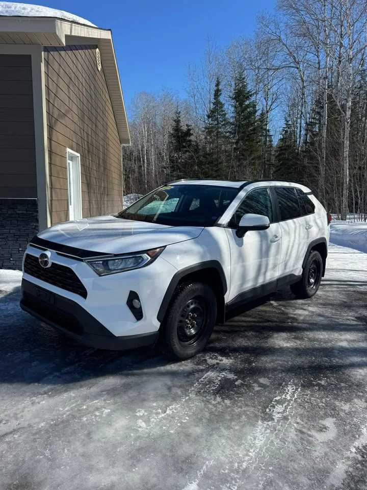 2019 Toyota Rav 4 XLE Image