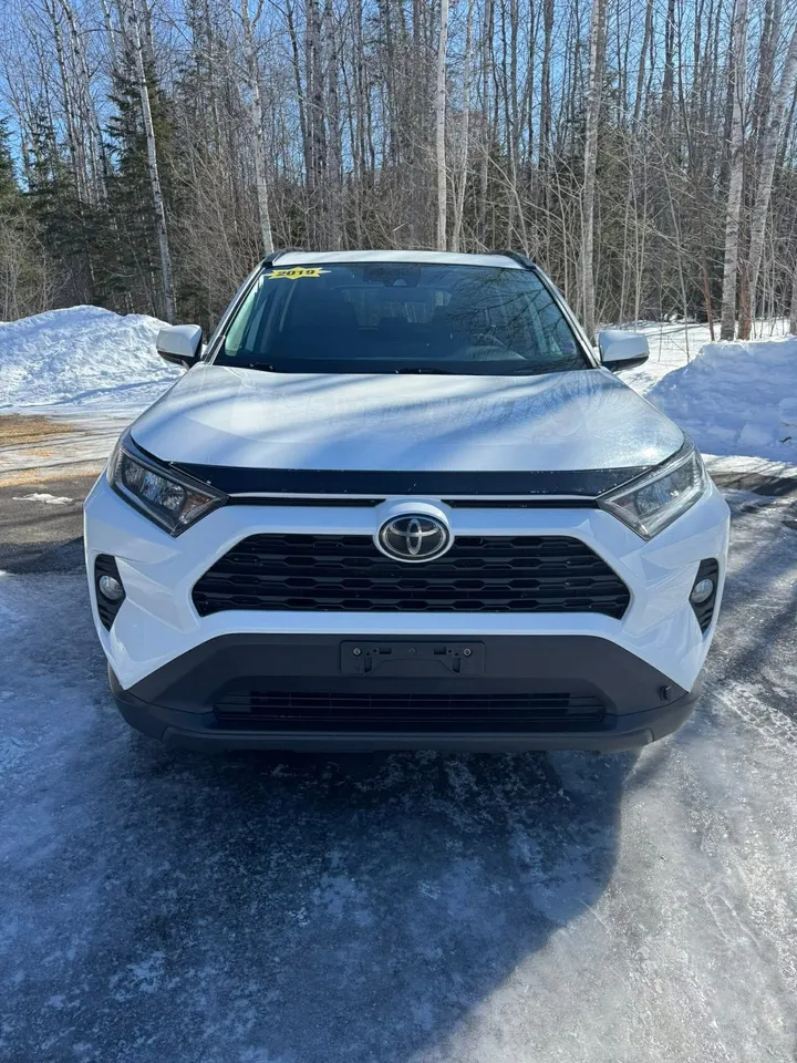 2019 Toyota Rav 4 XLE Image