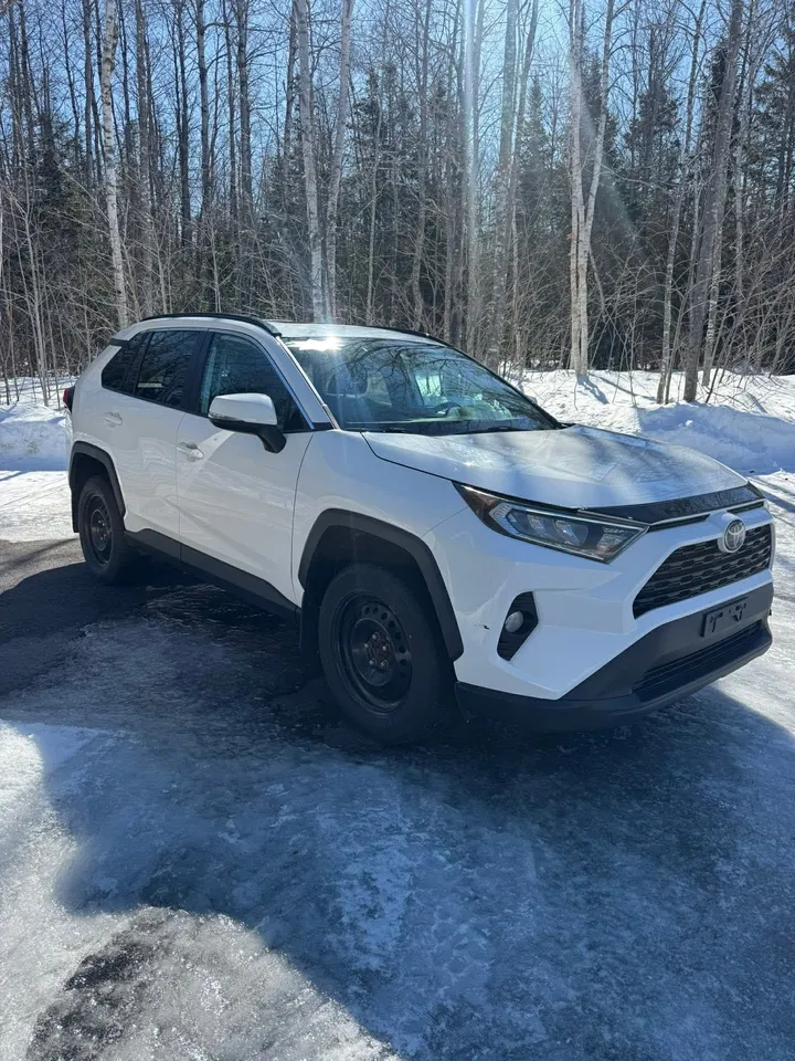 2019 Toyota Rav 4 XLE Image