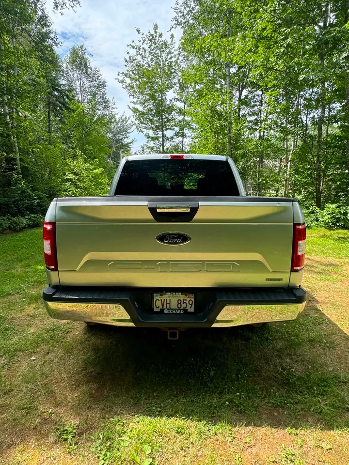 2019 Ford F-150 XTR Image